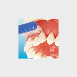 Instruktionsmodel til Tandbrstning 